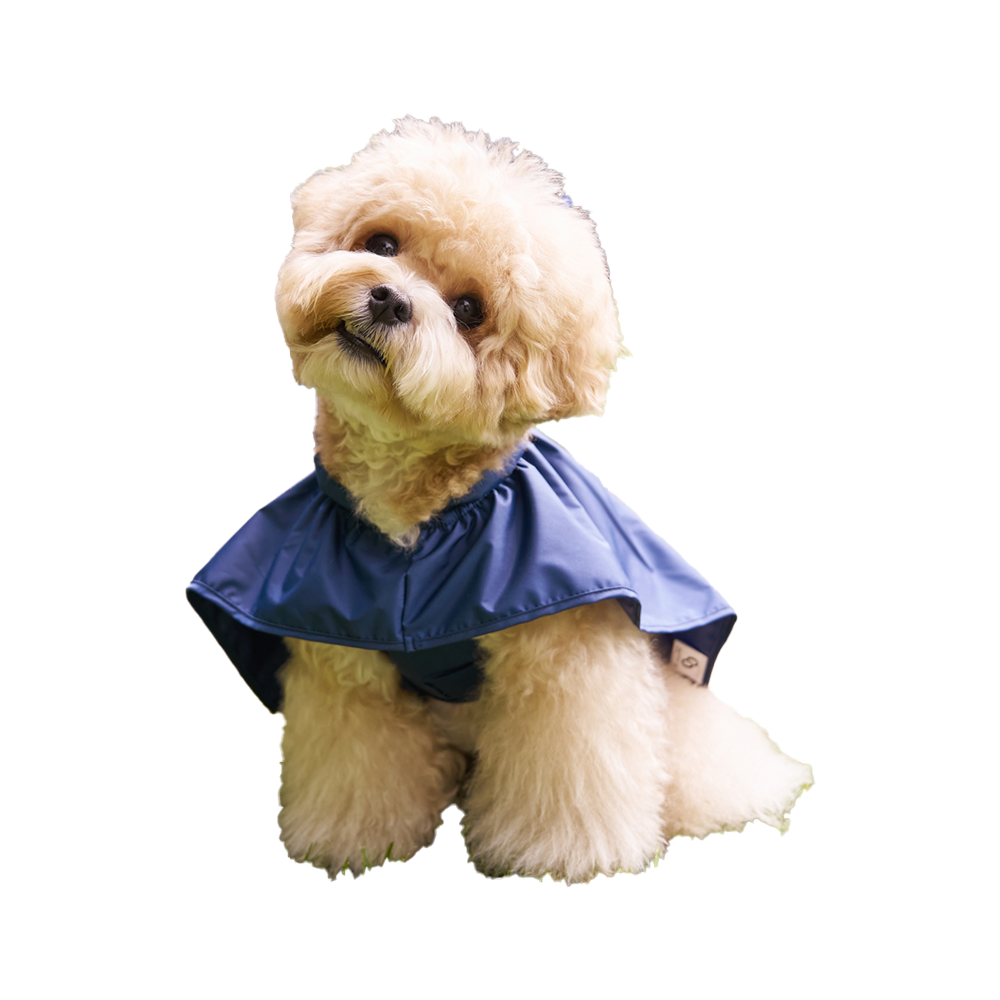 [COCOGIO] Eco-Friendly Material Raincoat_Poncho Style
