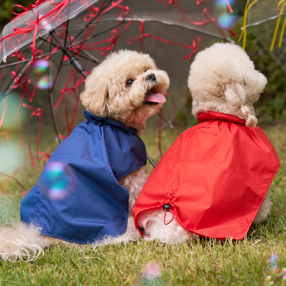 [COCOGIO] Eco-Friendly Material Raincoat_Poncho Style