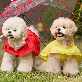 detail image4 [COCOGIO] Eco-Friendly Material Raincoat_Poncho Style
