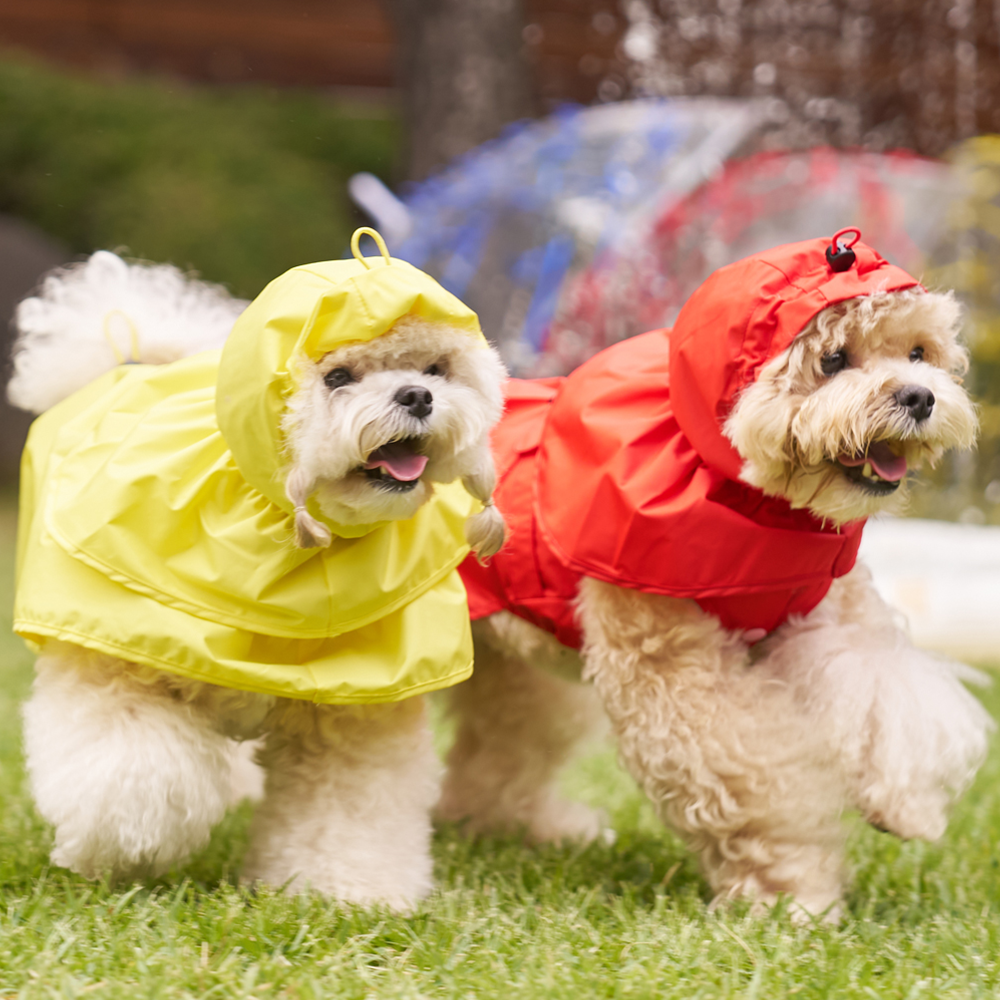 [COCOGIO] Eco-Friendly Material Raincoat_Poncho Style
