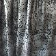 detail image1 POLY SPAN KNIT W/FOIL ( SNF-1112-1 )