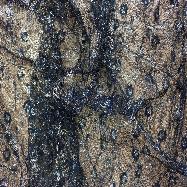 NYLON METALIC RASCHEL LACE  W/FOIL ( SNF-2235 )